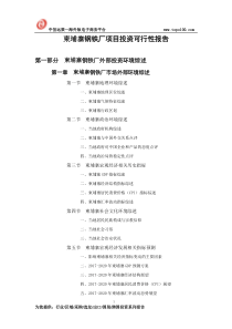 柬埔寨钢铁厂项目投资可行性报告