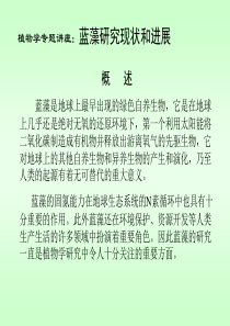 蓝藻简介