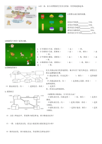小学二年级下半学期数学方向习题