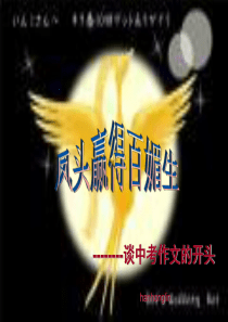凤头赢得百媚生――谈中考作文的开头