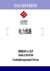 发电运行高级(技师)模块三(电力线路)