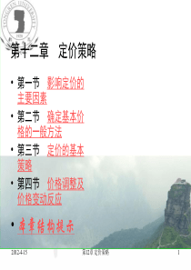 12 定价策略