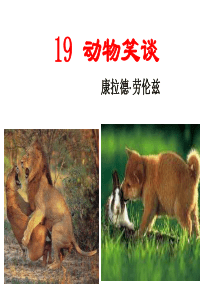 17 动物笑谈