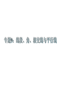 2015届中考专题复习课件：专题9：线段、角、相交线与平行线1