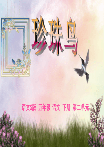 人教版五年级语文上册第四组《16珍珠鸟》PPT课件之三