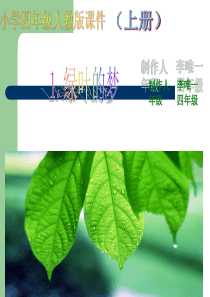 四年级上册语文  绿叶的梦课件