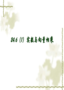 24.6(1)实数与向量相乘(一)