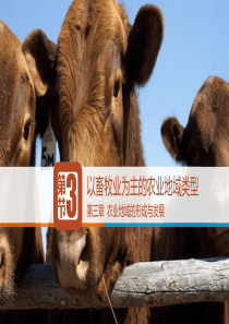 3.3 以畜牧业为主的农业地域类型(精品)
