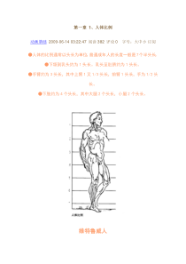 绘画教程——人体(全面)