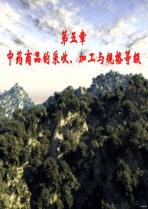 第五章药材的采收与产地加工