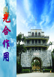 广西崇左市龙州县高级中学高二生物《光合作用》课件2