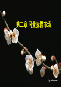 同业拆借市场(3)
