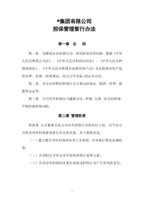 集团公司担保管理办法