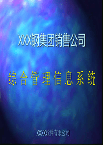 某钢铁公司综合管理信息系统