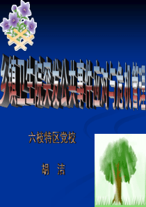 卫生院突发事件应对与危机管理1