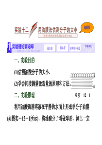《三维设计》2014新课标高考物理一轮总复习课件 第十一章  热学实验十二 用油膜法估测分子的大小(