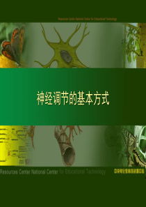 51神经调节的基本方式课件1