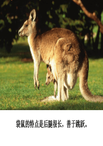 21从现在开始课件(1)