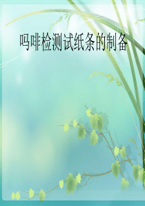 吗啡检测试纸条的
