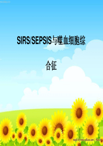 嗜血细胞综合征共16页文档