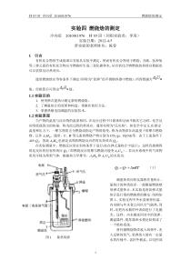 燃烧焓的测定-物化实验