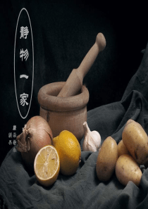《静物一家》