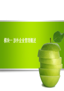 涉外企业管理PPT模块一