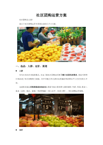 社区团购全面运营方案