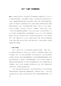 关于“山寨”的调查报告