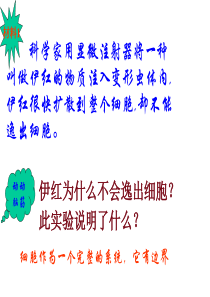 科学家用显微注射器将一种叫做伊红的物质注入变形虫体.