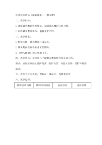 中班科学活动《捕鼠能手——猫头鹰》