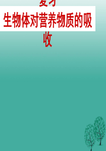江苏省铜山区清华中学2016中考生物人体的消化系统复习课件
