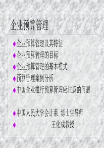 王化成-企业预算管理-讲课提纲(3)
