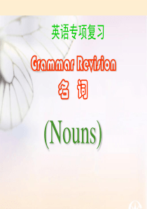中考语法专项复习之名词