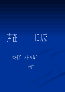 肺部超声在ICU的应用
