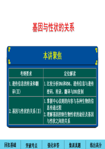 2017高考生物一轮复习基因与性状关系