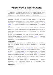 微景观