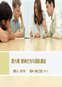 群体行为与团队建设