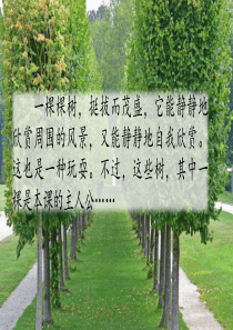 部编版我变成了一棵树课件完美版