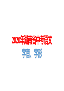 2020年湖南省中考语文字音、字形
