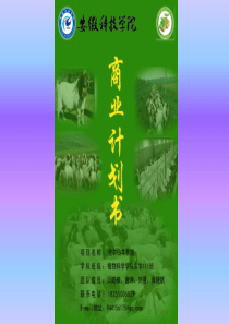 创业计划展示PPT