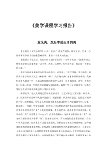 美学课程学习报告