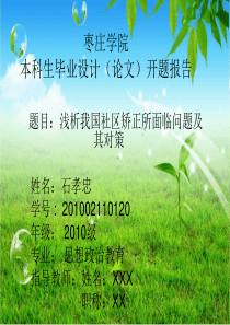 开题报告