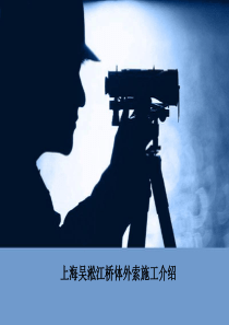 连续箱梁体外预应力施工方案