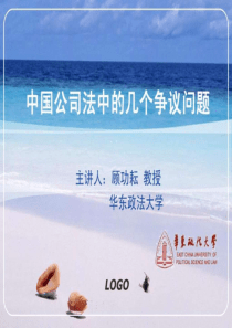 2019年中国公司法中的几个争议问题.ppt