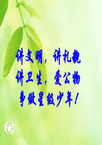 讲文明、讲卫生、讲礼貌-主题班会课件