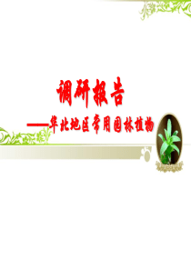 园林植物调研报告概要