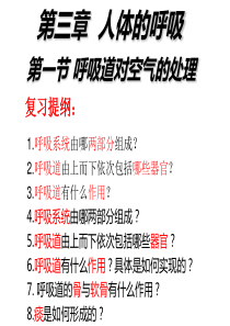 新人教版七年级生物下册-第四单元-生物圈中人-第三章-人体呼吸-复习课件
