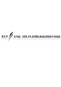 2010高三地理一轮复习课件四十二13重要的五个地区