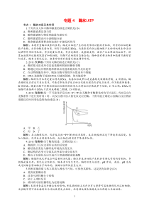 2014高三生物一轮复习专题4酶和ATP高中生物练习试题